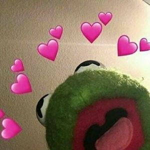 Meet your Posher, Payton